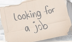 looking for a job