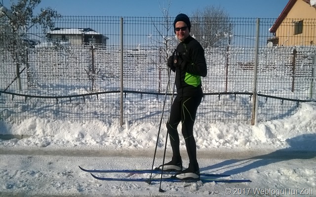 Zoli pe schiuri de fond