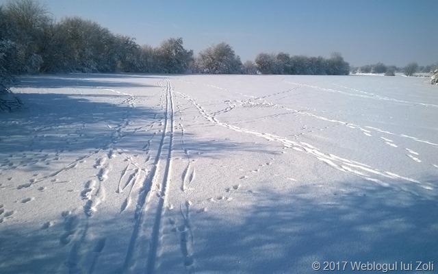 schi fond pe lacul Mamina din Berceni